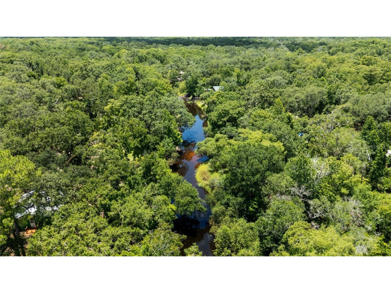 34147 Ringwalt Drive Dade City FL 33523 TB8400463 image28