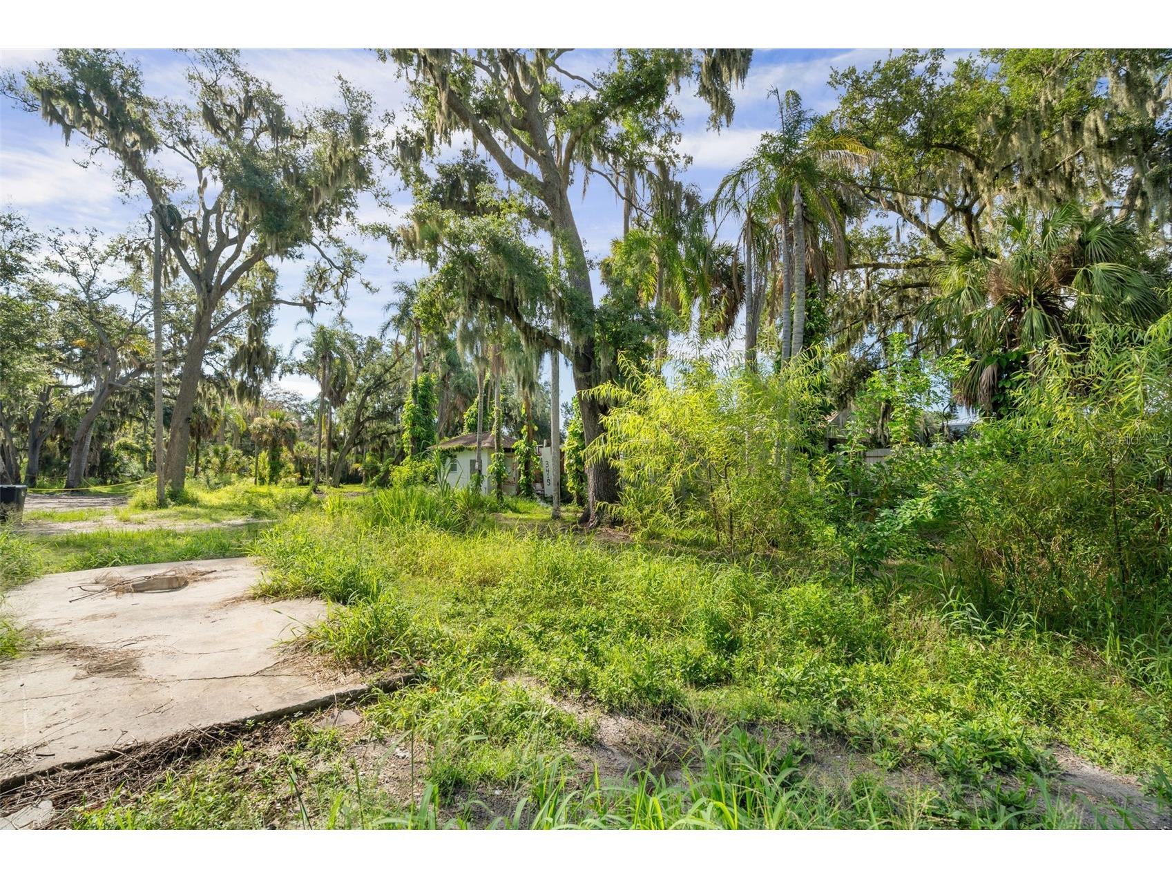 3415 41st Street E Palmetto FL 34221 A4699445 image2