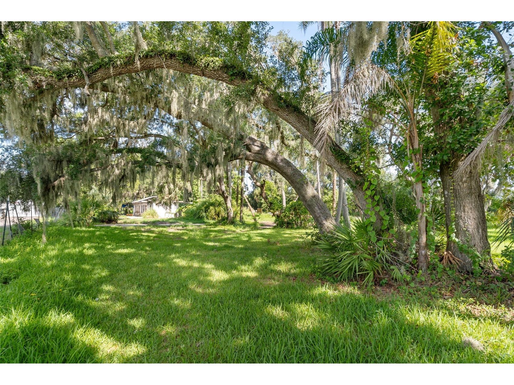 3415 41st Street E Palmetto FL 34221 A4699445 image9