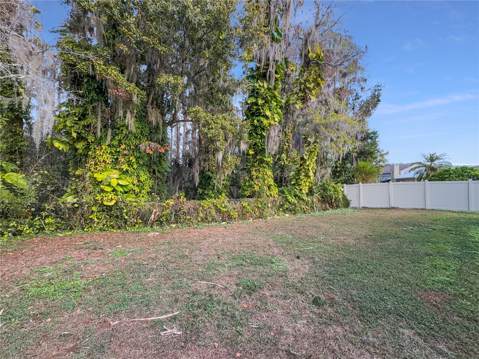 3415 Bloomingdale Oaks Drive Valrico FL 33596 O6377324 image28
