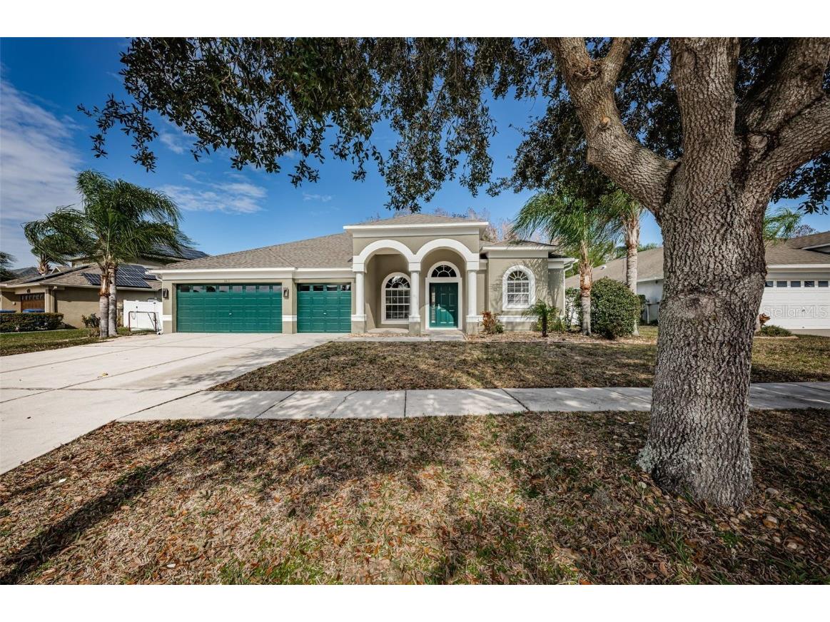 3415 Chessington Drive Land O Lakes FL 34638 W7861941 image1