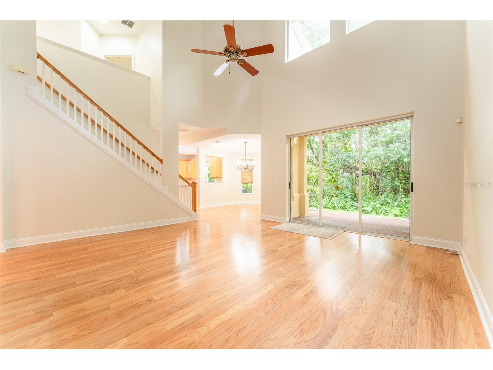 3415 Heards Ferry Drive Tampa FL 33618 TB8463609 image15