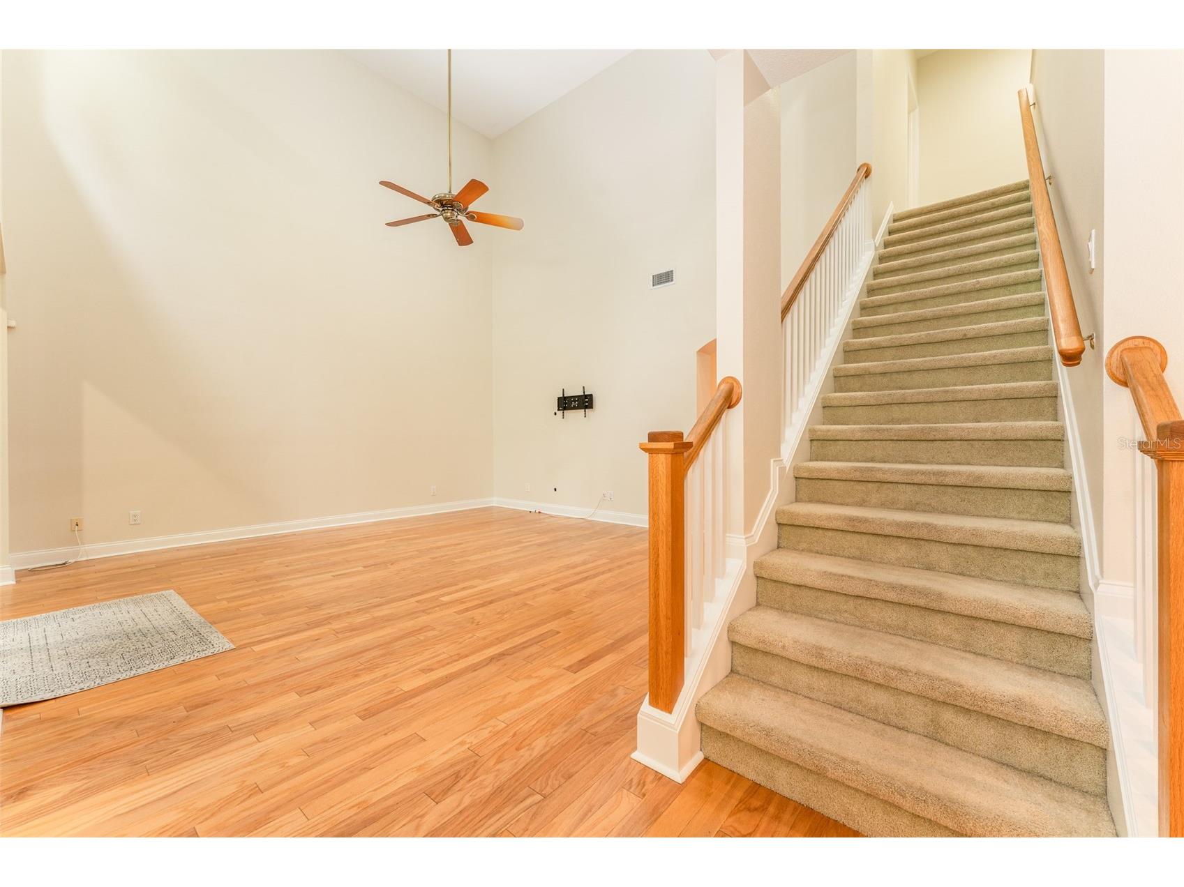 3415 Heards Ferry Drive Tampa FL 33618 TB8463609 image22