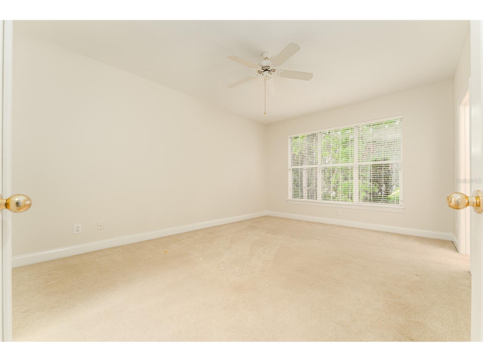 3415 Heards Ferry Drive Tampa FL 33618 TB8463609 image25