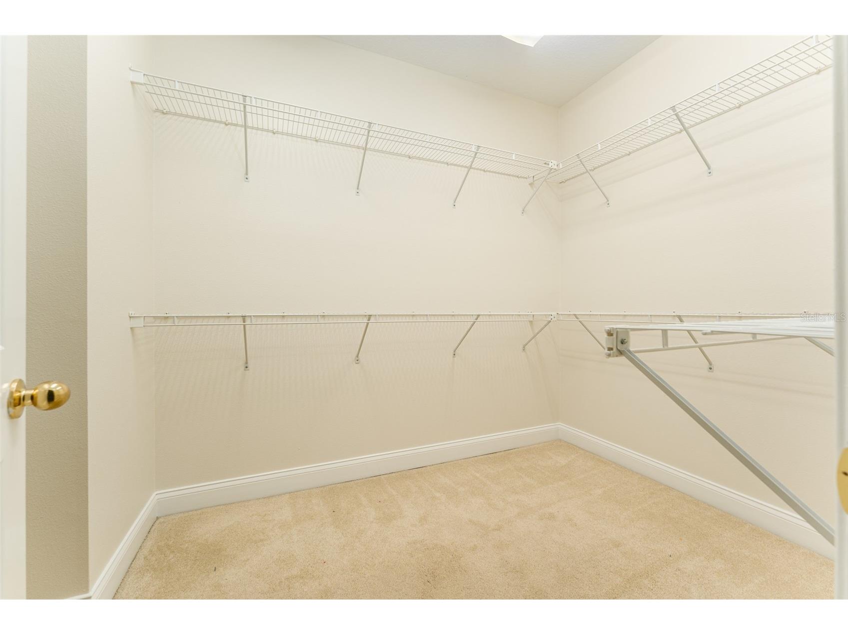 3415 Heards Ferry Drive Tampa FL 33618 TB8463609 image29