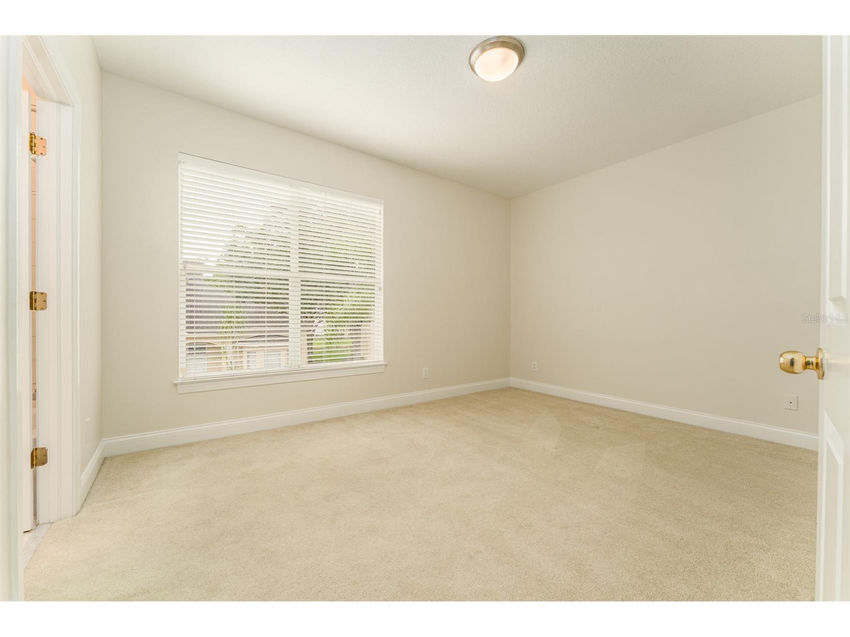 3415 Heards Ferry Drive Tampa FL 33618 TB8463609 image30