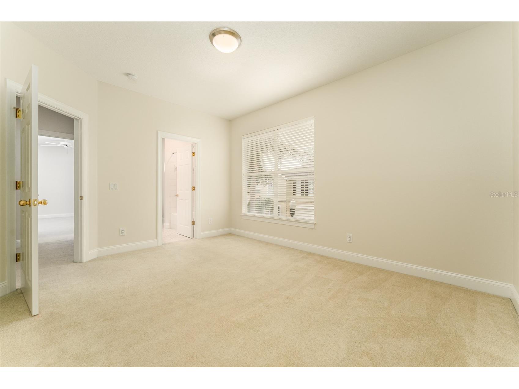 3415 Heards Ferry Drive Tampa FL 33618 TB8463609 image31