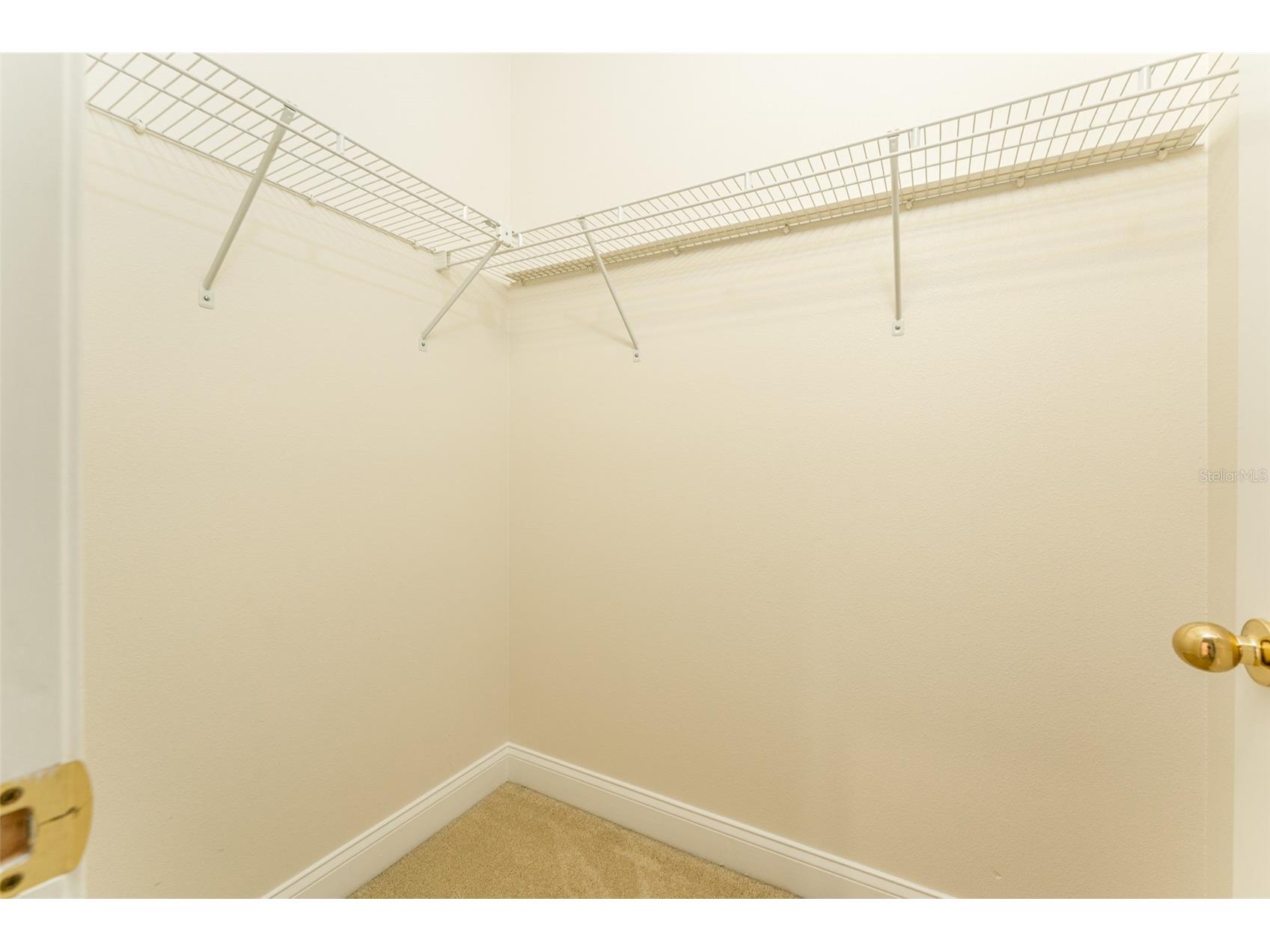 3415 Heards Ferry Drive Tampa FL 33618 TB8463609 image36