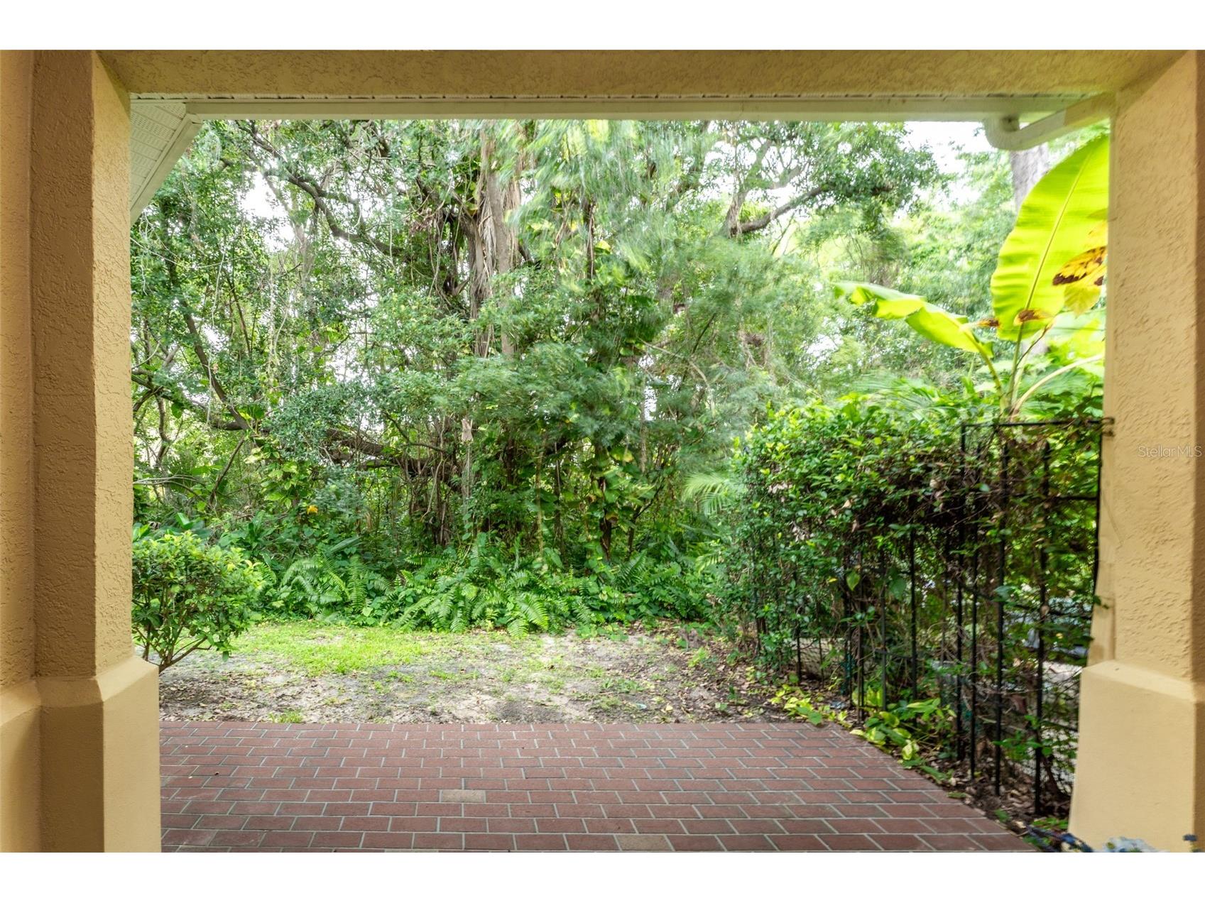 3415 Heards Ferry Drive Tampa FL 33618 TB8463609 image37