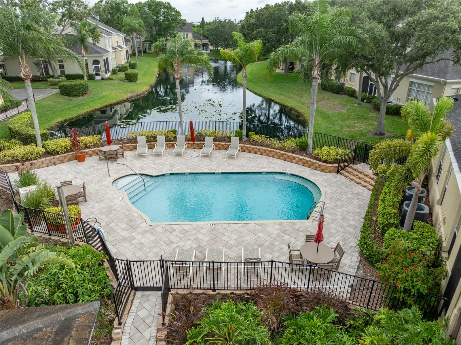 3415 Heards Ferry Drive Tampa FL 33618 TB8463609 image42