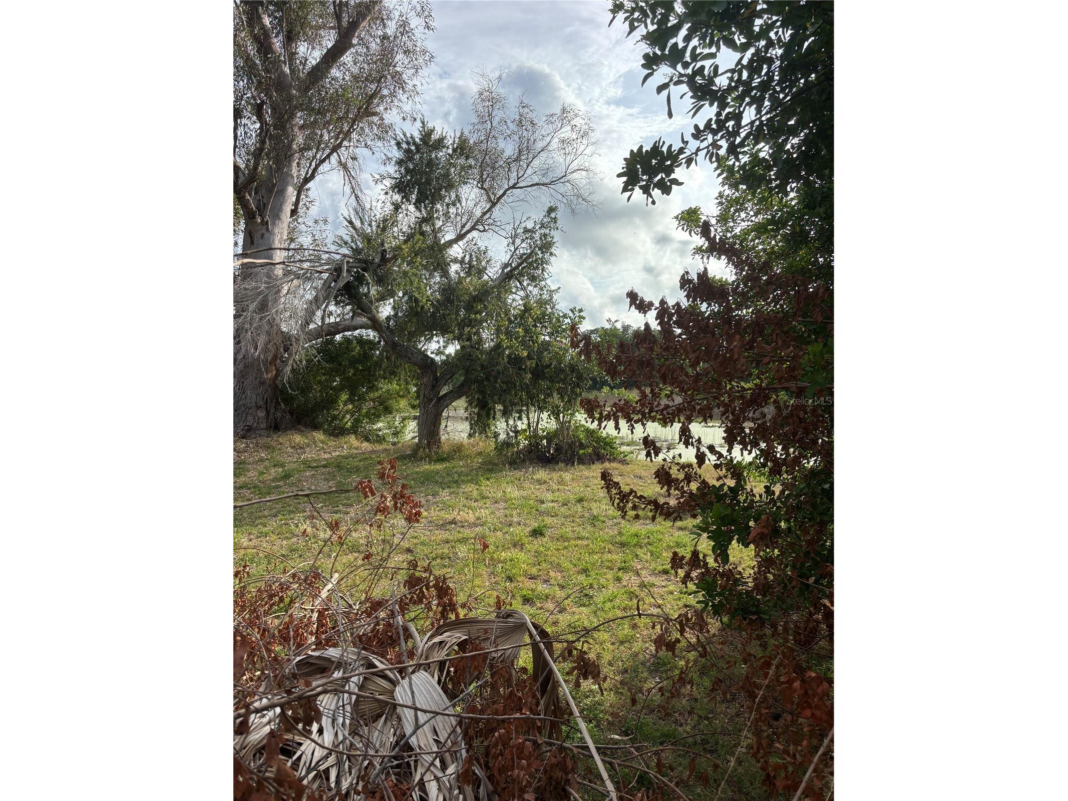 3415 Overland Drive Holiday FL 34691 O6405431 image13