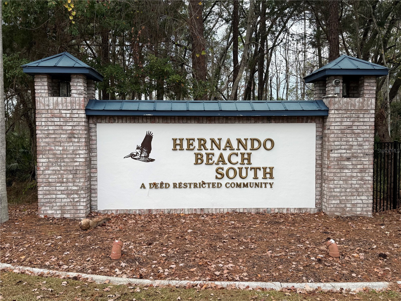 3415 Sheephead Drive Hernando Beach FL 34607 W7882125 image1