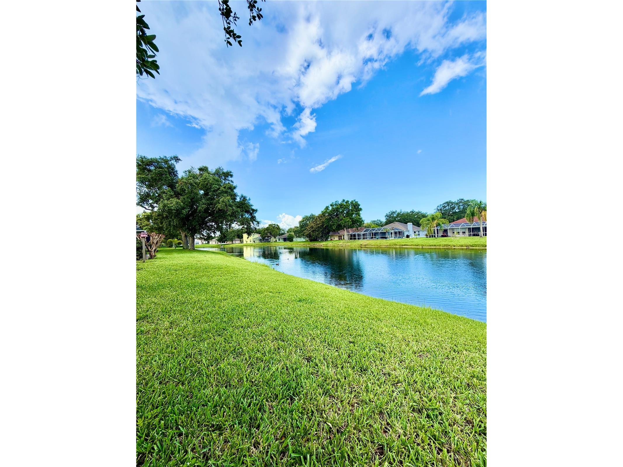 3415 Silver Meadow Way Plant City FL 33566 TB8521685 image46
