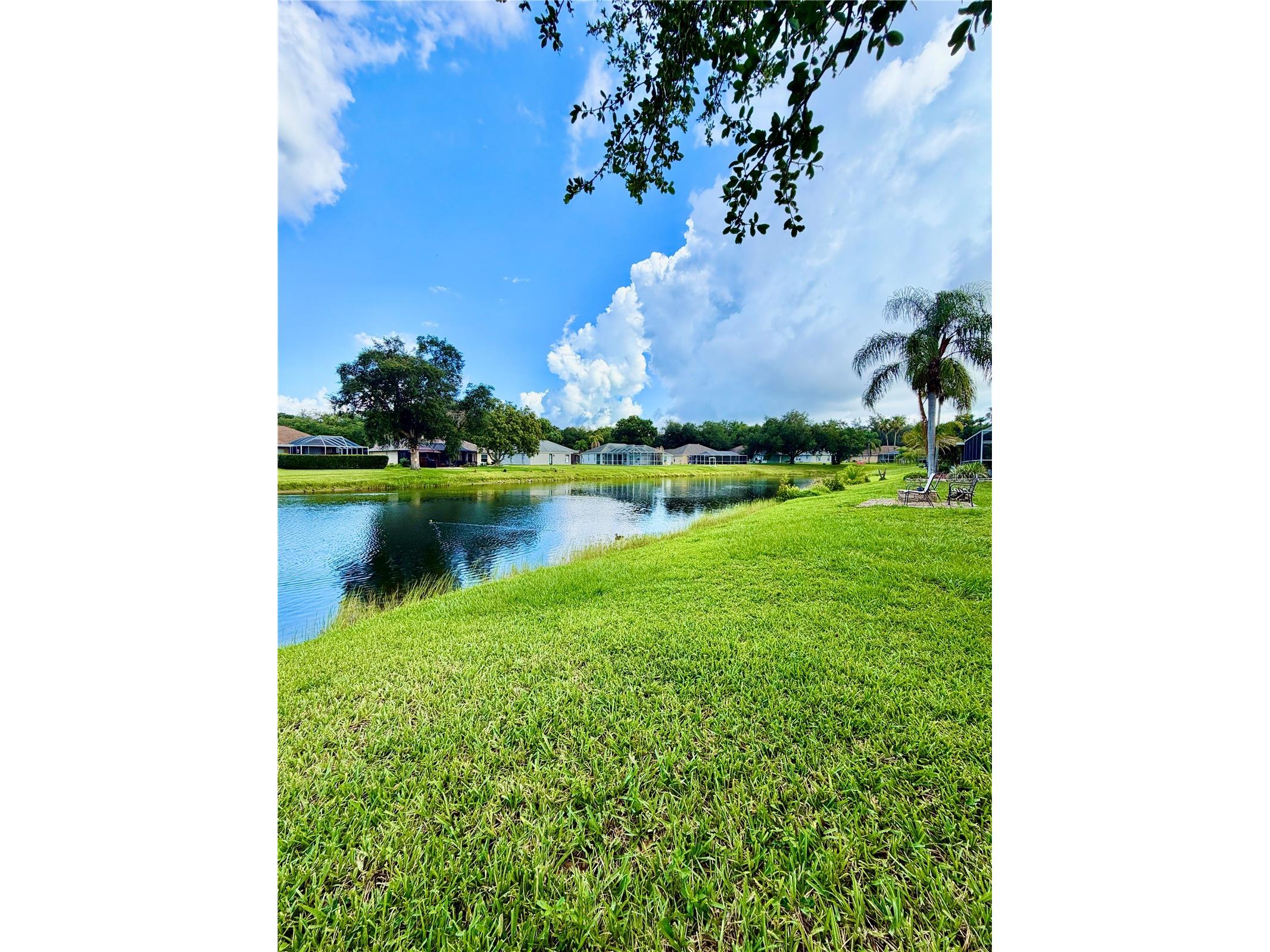 3415 Silver Meadow Way Plant City FL 33566 TB8521685 image47