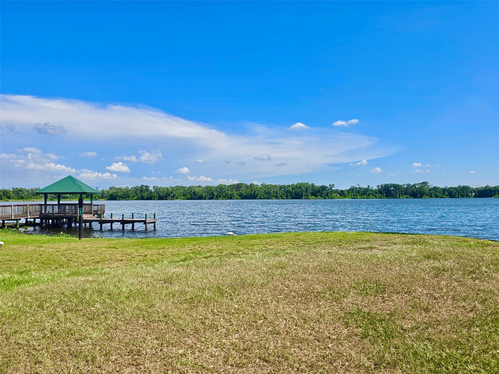 3415 Silver Meadow Way Plant City FL 33566 TB8521685 image57