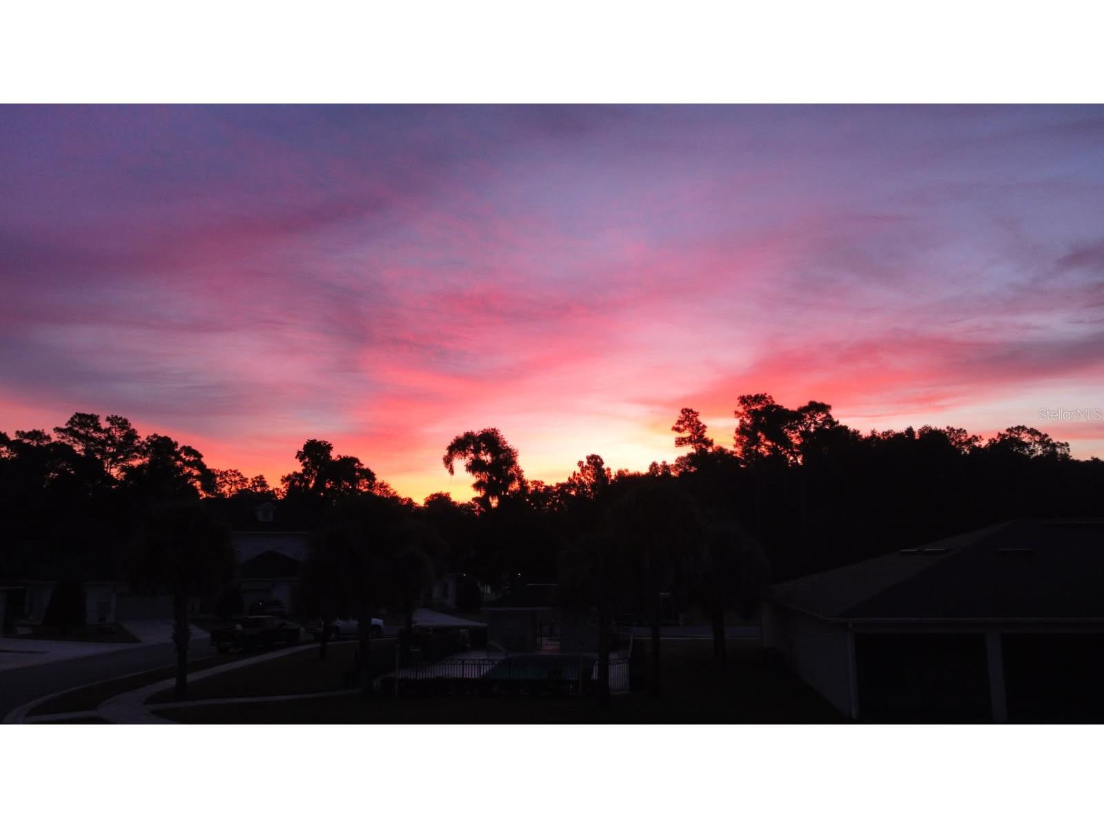 3415 W Anthony Road #701 Ocala FL 34475 OM726753 image53