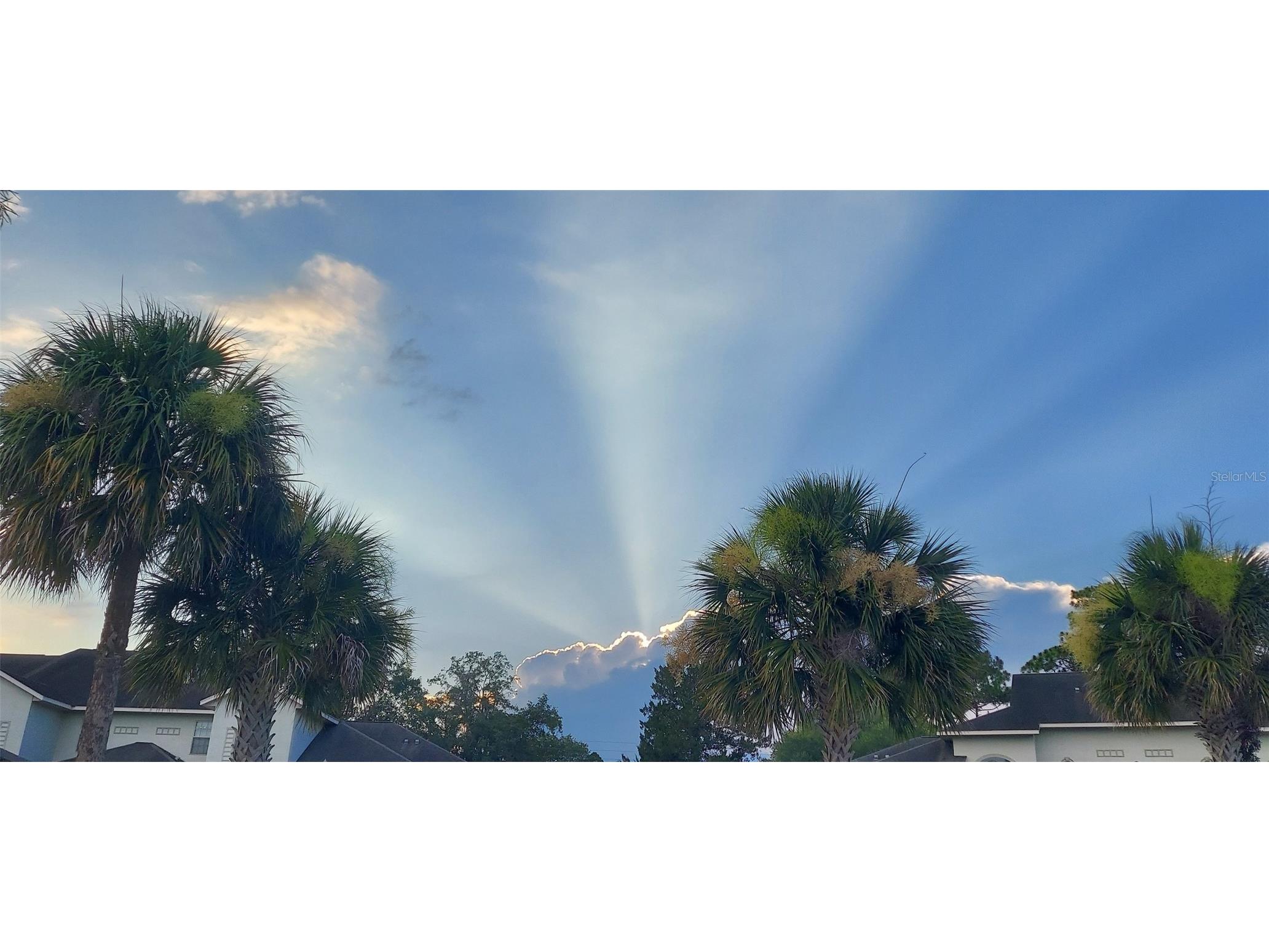 3415 W Anthony Road #701 Ocala FL 34475 OM726753 image55