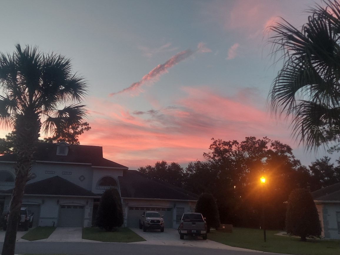 3415 W Anthony Road #701 Ocala FL 34475 OM726753 image57