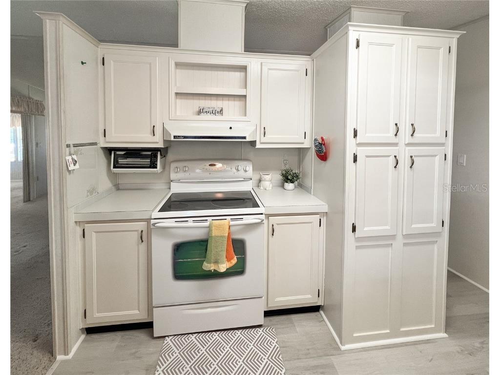 34150 Estates Lane Wesley Chapel FL 33543 TB8369339 image10