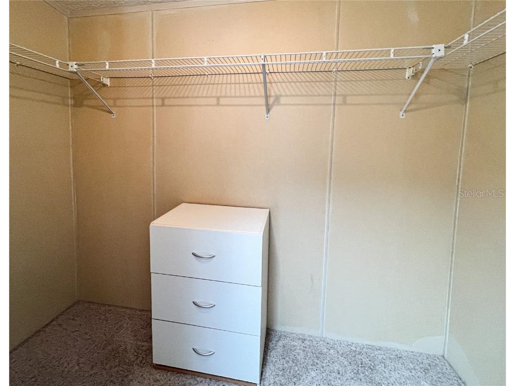 34150 Estates Lane Wesley Chapel FL 33543 TB8369339 image18