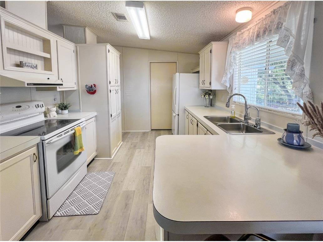 34150 Estates Lane Wesley Chapel FL 33543 TB8369339 image8