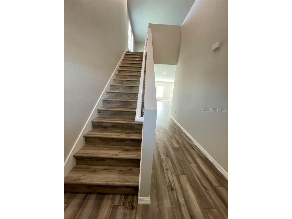 34152 Verbena St Wesley Chapel FL 33545 TB8446978 image13