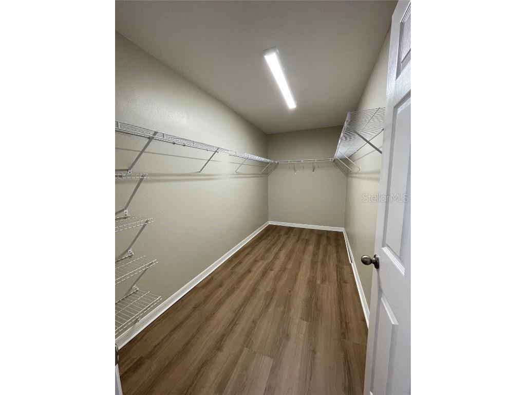 34152 Verbena St Wesley Chapel FL 33545 TB8446978 image18