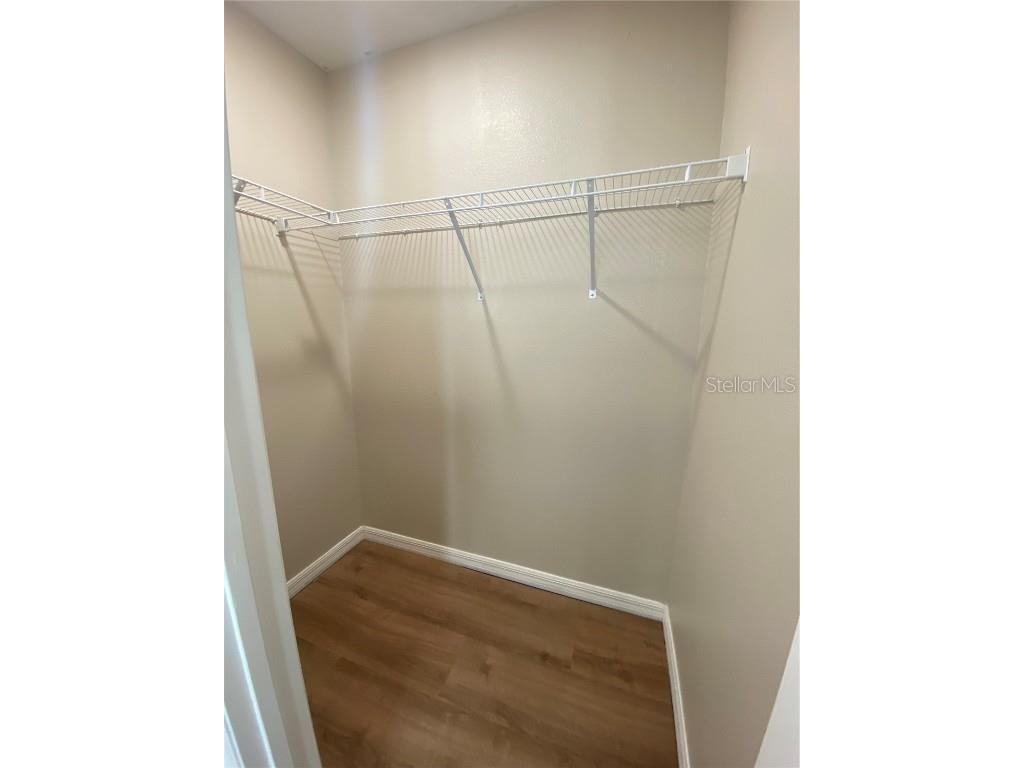 34152 Verbena St Wesley Chapel FL 33545 TB8446978 image28