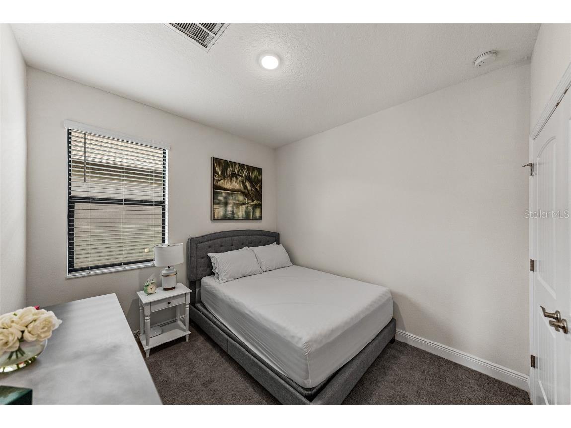 34155 Evergreen Hill Court Wesley Chapel FL 33545 TB8451982 image12