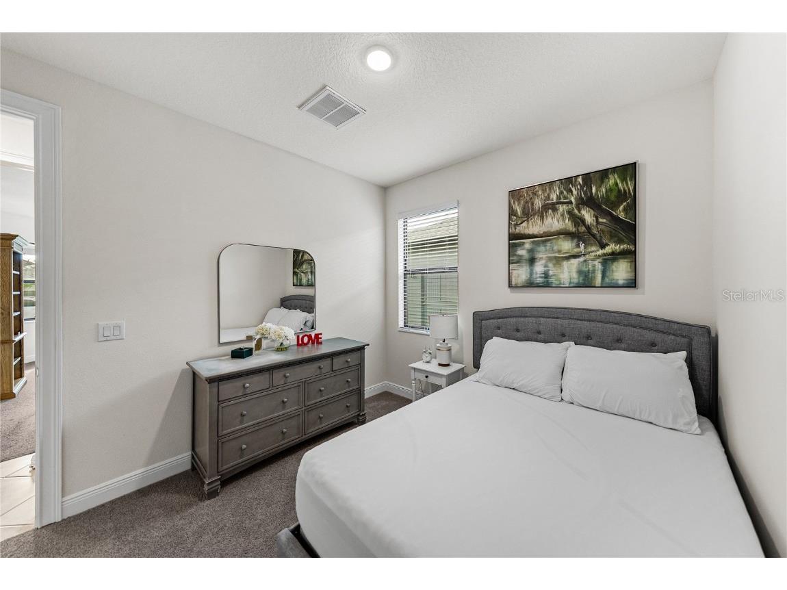 34155 Evergreen Hill Court Wesley Chapel FL 33545 TB8451982 image13