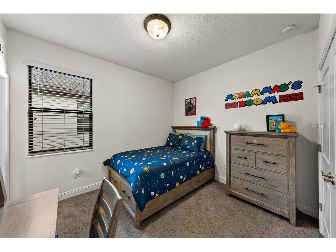 34155 Evergreen Hill Court Wesley Chapel FL 33545 TB8451982 image15