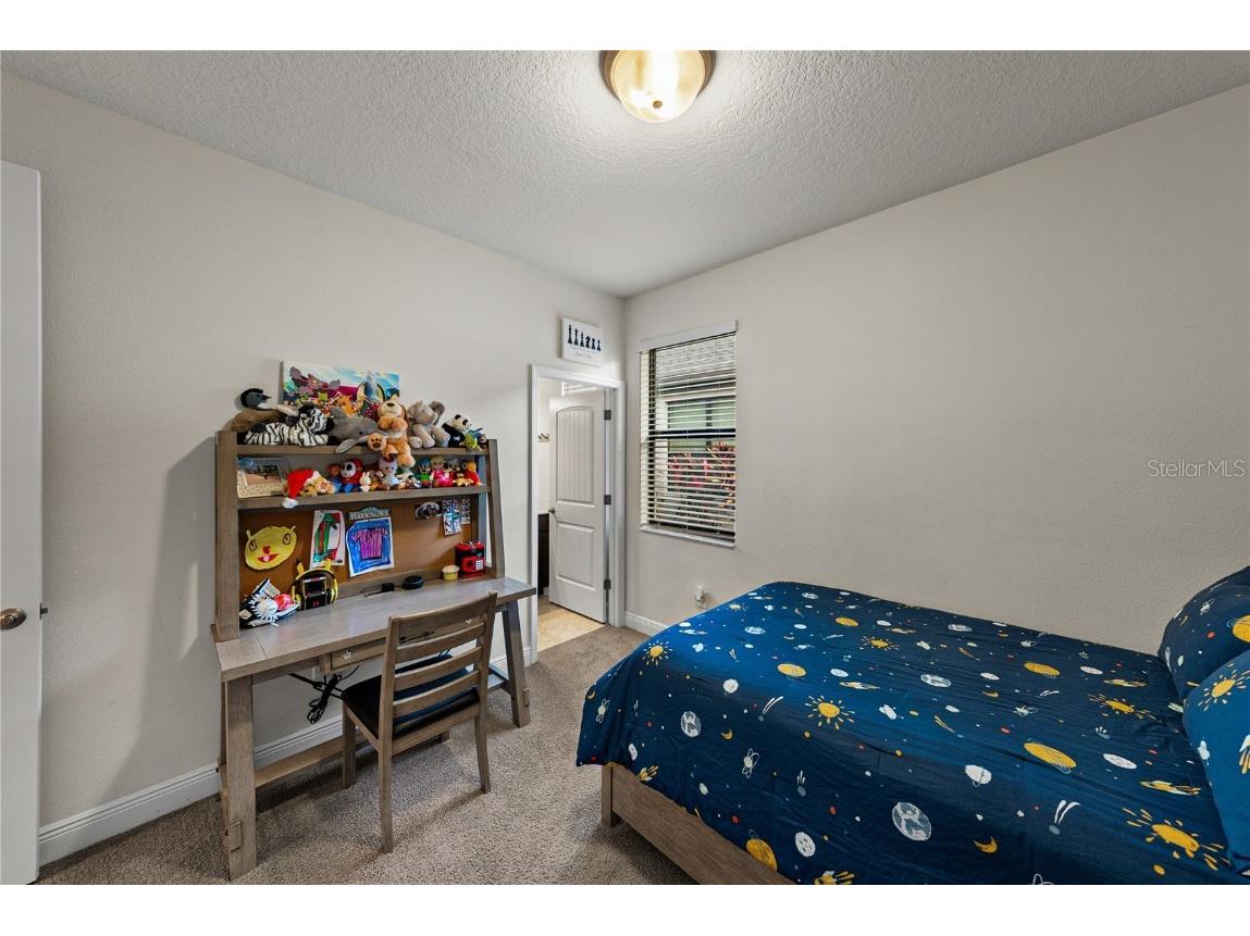 34155 Evergreen Hill Court Wesley Chapel FL 33545 TB8451982 image16