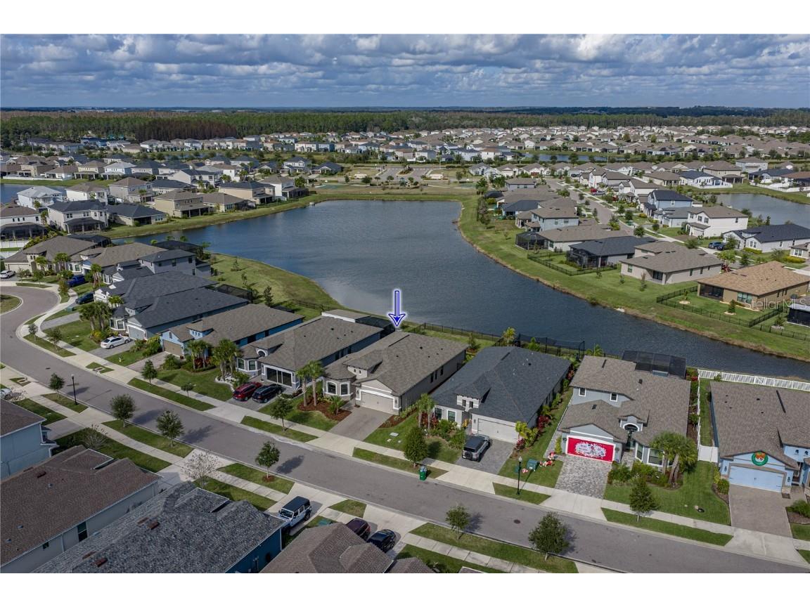 34155 Evergreen Hill Court Wesley Chapel FL 33545 TB8451982 image3