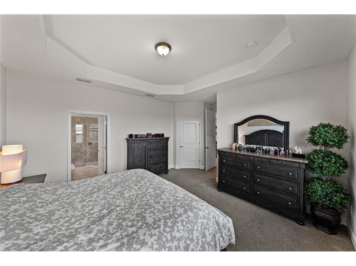 34155 Evergreen Hill Court Wesley Chapel FL 33545 TB8451982 image40