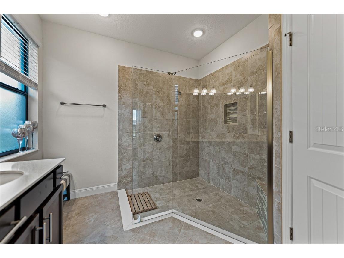 34155 Evergreen Hill Court Wesley Chapel FL 33545 TB8451982 image43