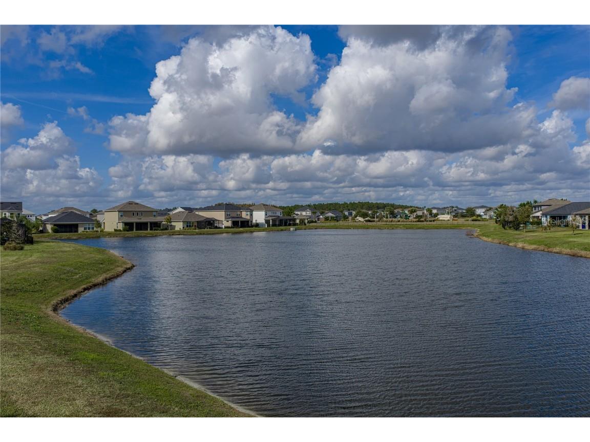 34155 Evergreen Hill Court Wesley Chapel FL 33545 TB8451982 image51