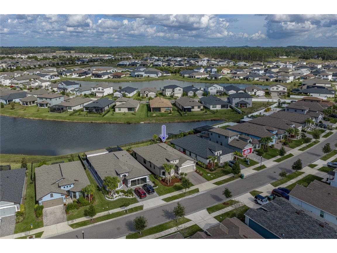 34155 Evergreen Hill Court Wesley Chapel FL 33545 TB8451982 image53