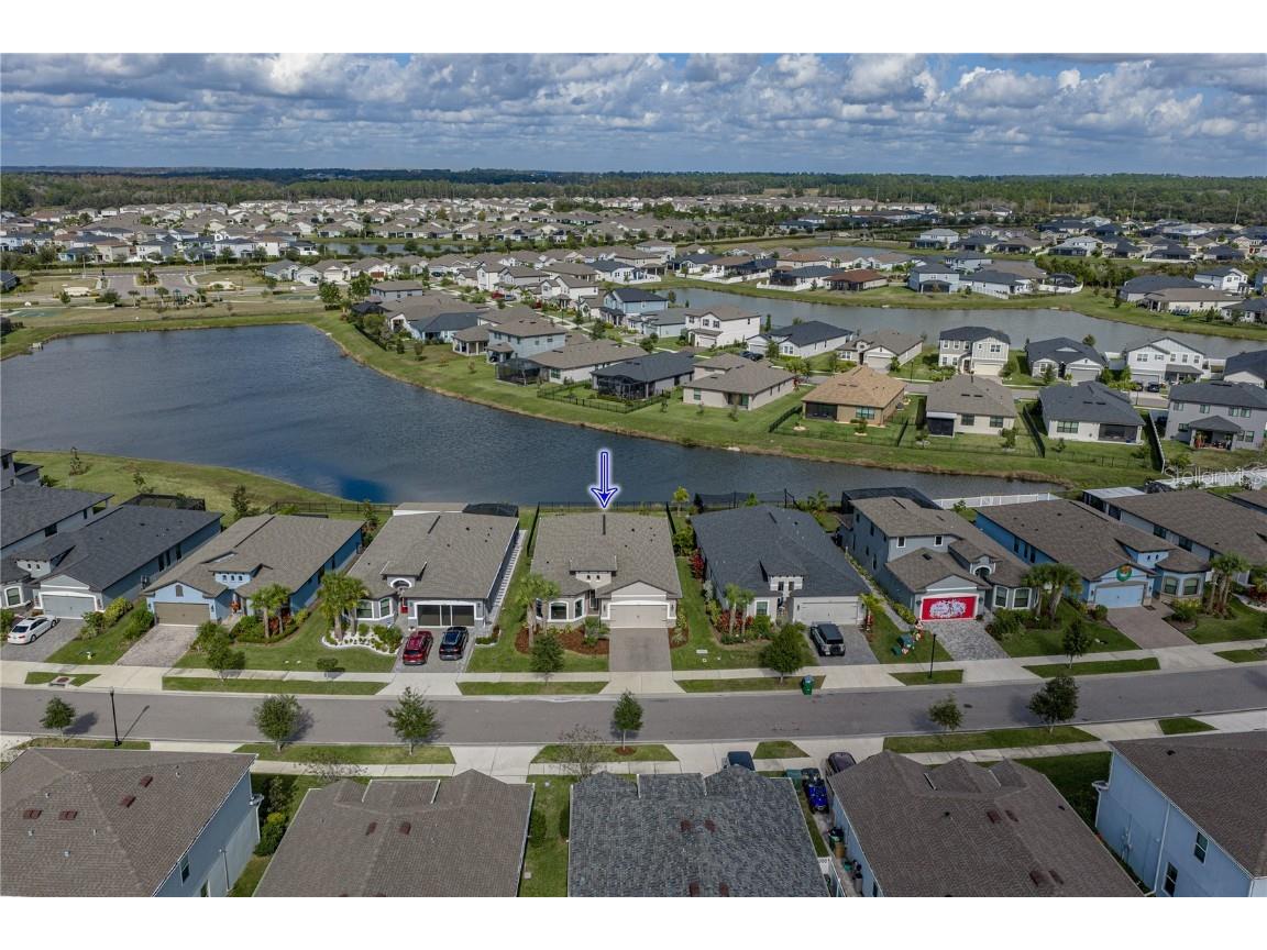 34155 Evergreen Hill Court Wesley Chapel FL 33545 TB8451982 image54