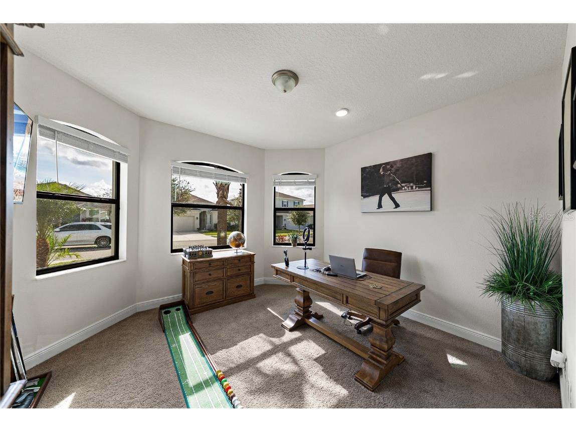 34155 Evergreen Hill Court Wesley Chapel FL 33545 TB8451982 image7