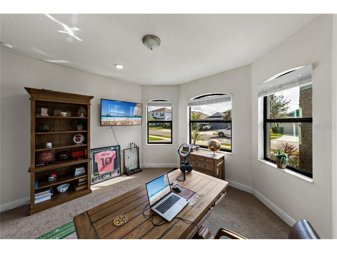 34155 Evergreen Hill Court Wesley Chapel FL 33545 TB8451982 image8