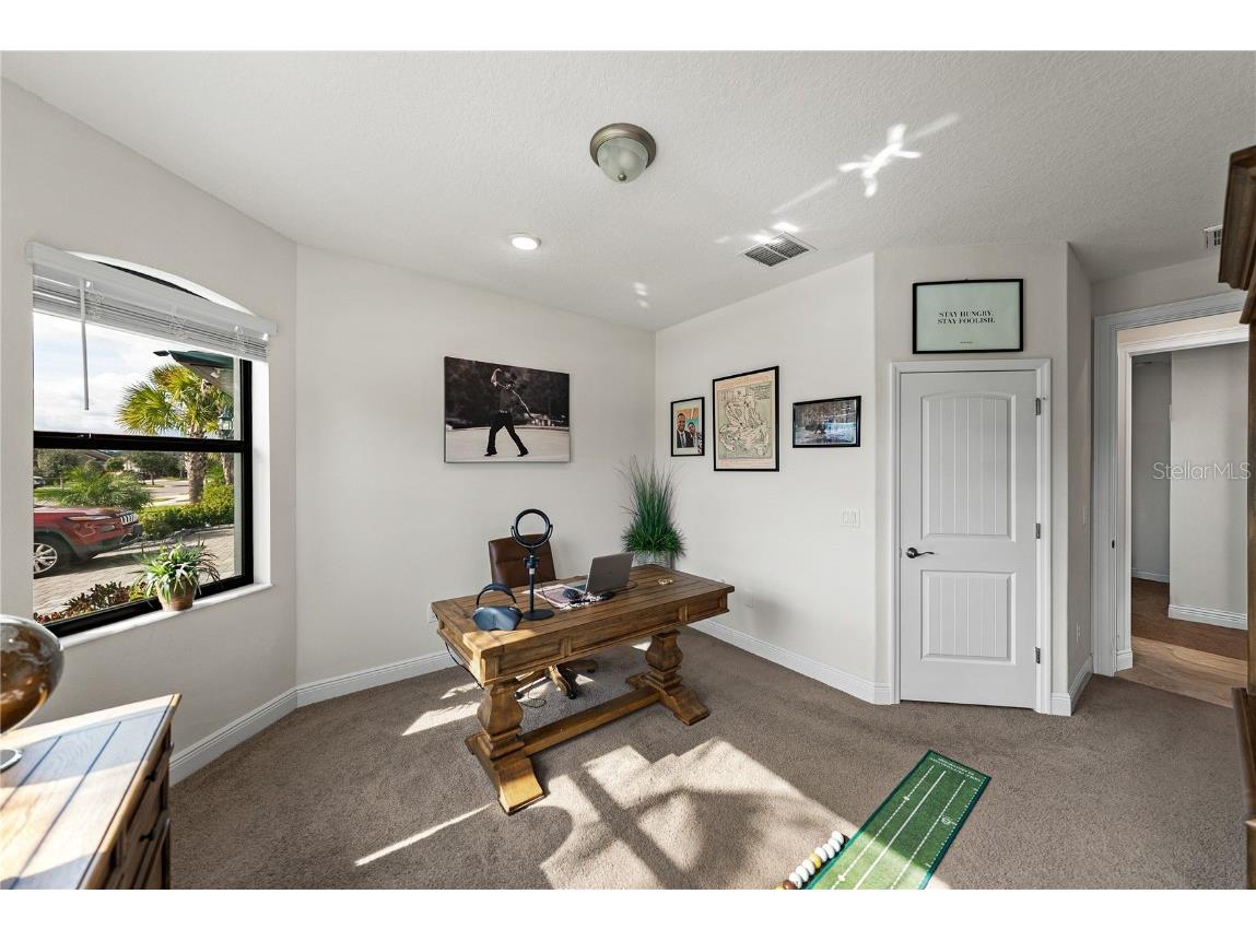 34155 Evergreen Hill Court Wesley Chapel FL 33545 TB8451982 image9