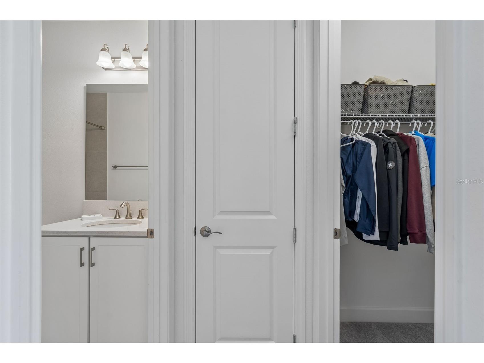 3416 Acacia Bay Avenue Wesley Chapel FL 33543 TB8482643 image39