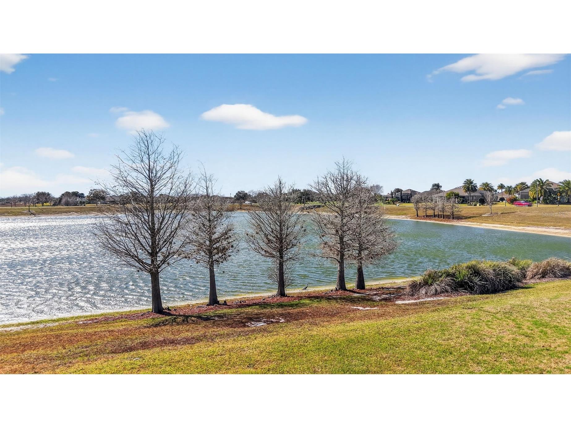 3416 Countryside Path The Villages FL 32163 G5106565 image43