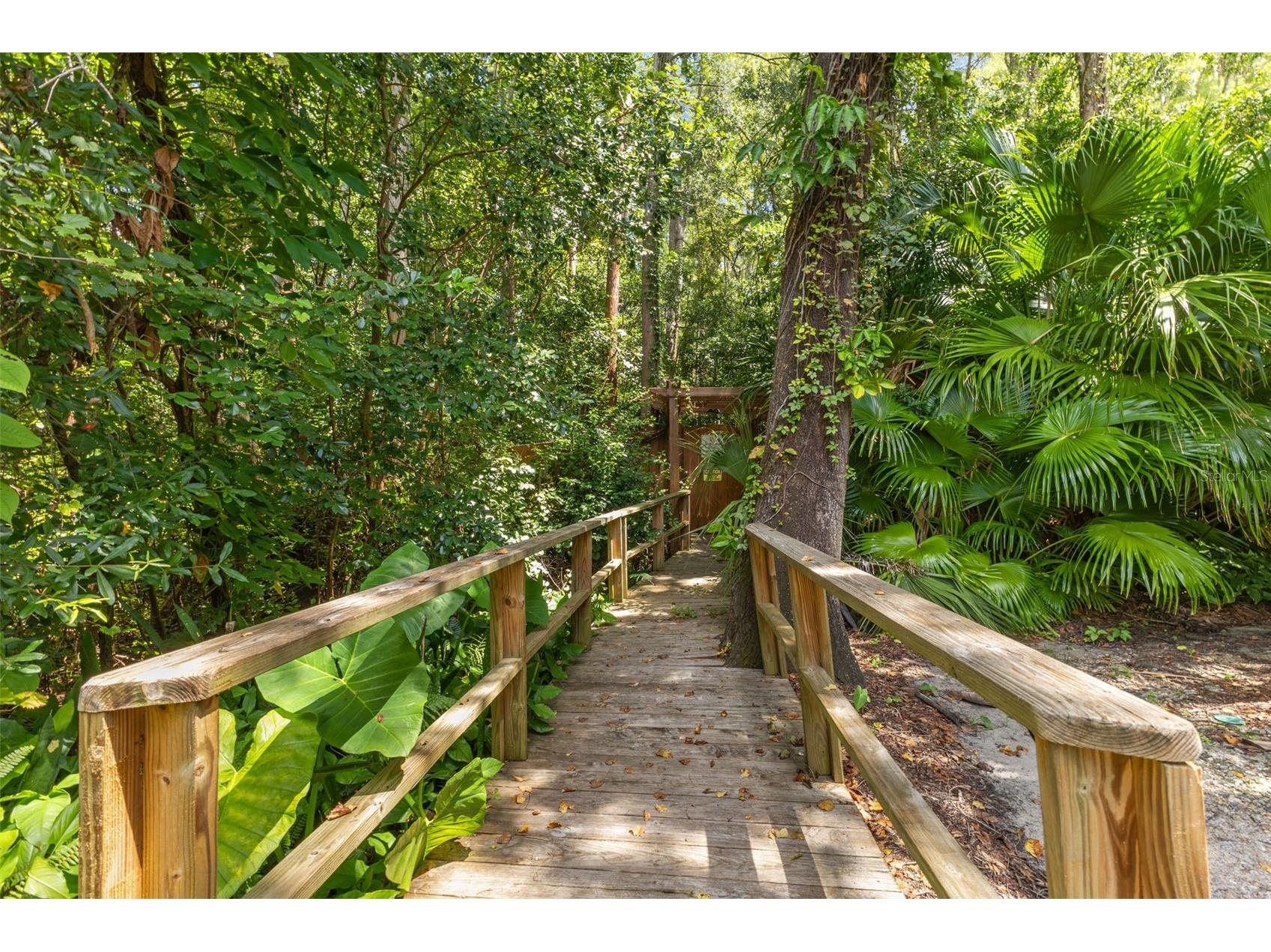 3416 Cypress Head Court Tampa FL 33618 TB8424125 image55