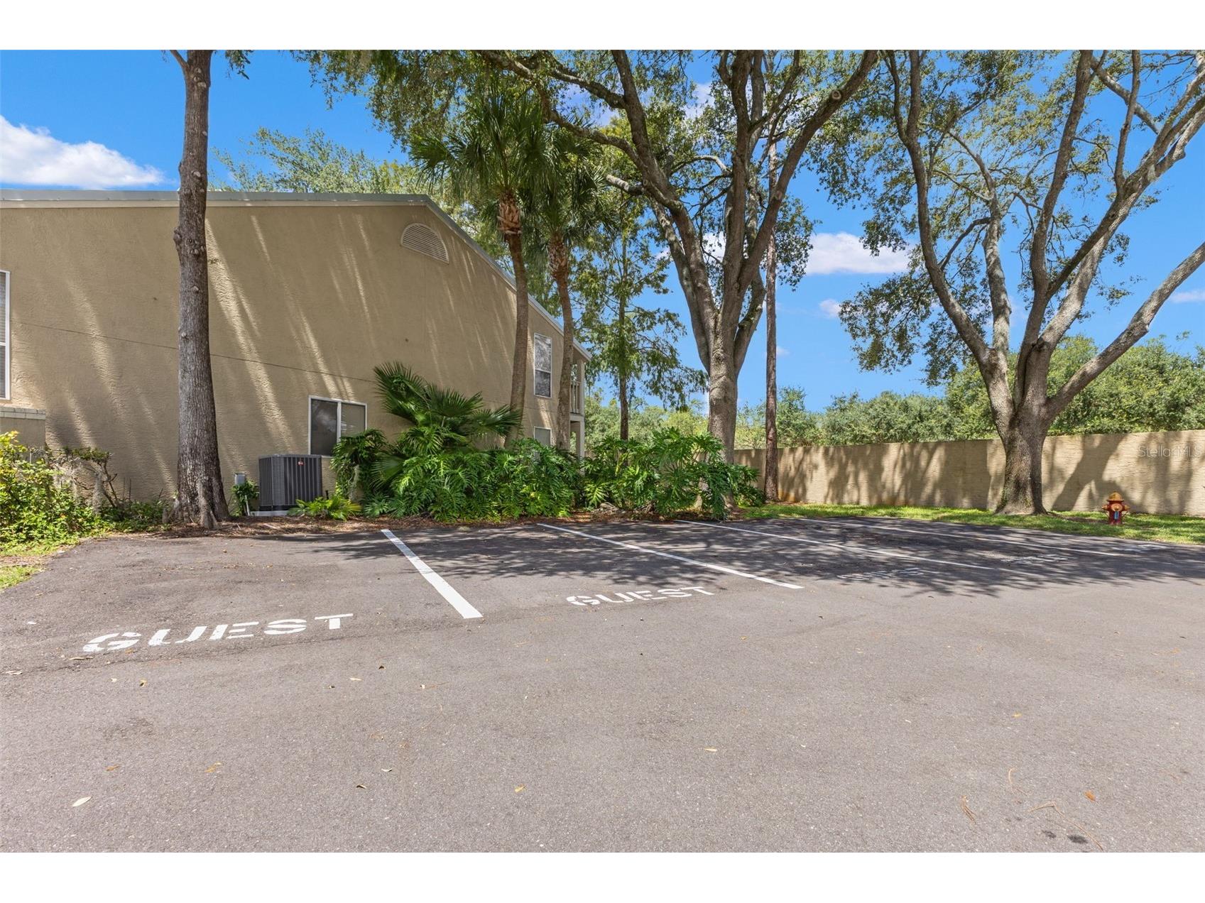 3416 Cypress Head Court Tampa FL 33618 TB8424125 image56