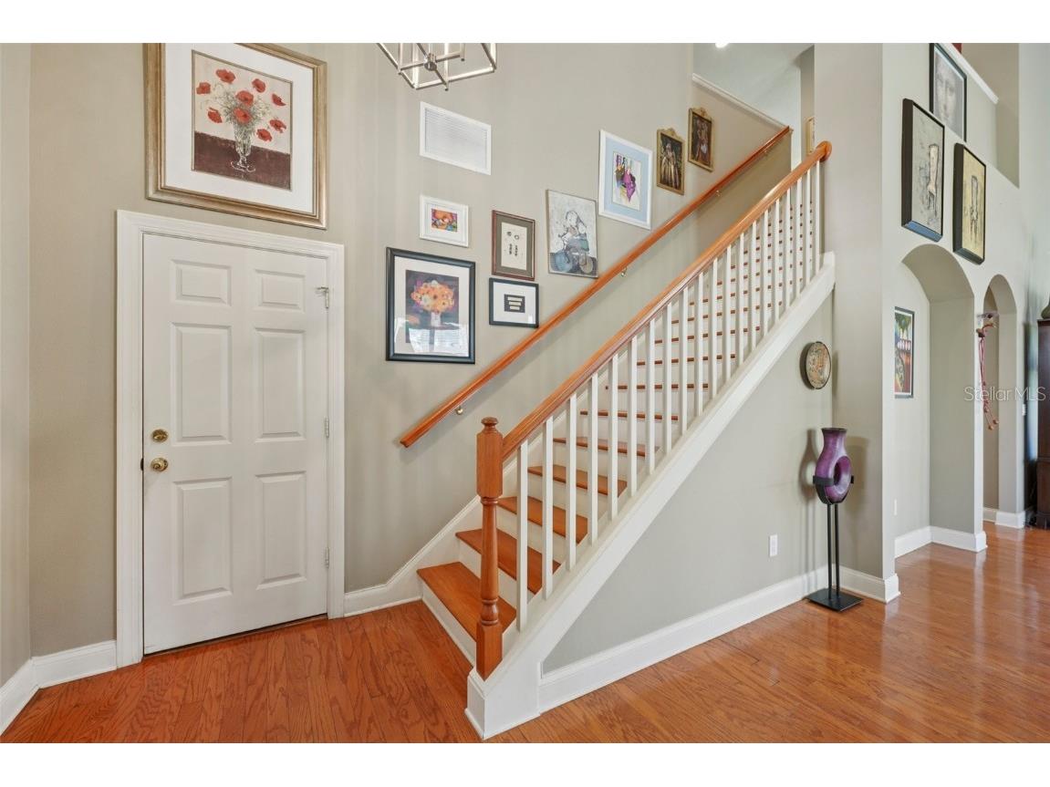 3416 Heards Ferry Drive Tampa FL 33618 TB8414643 image27