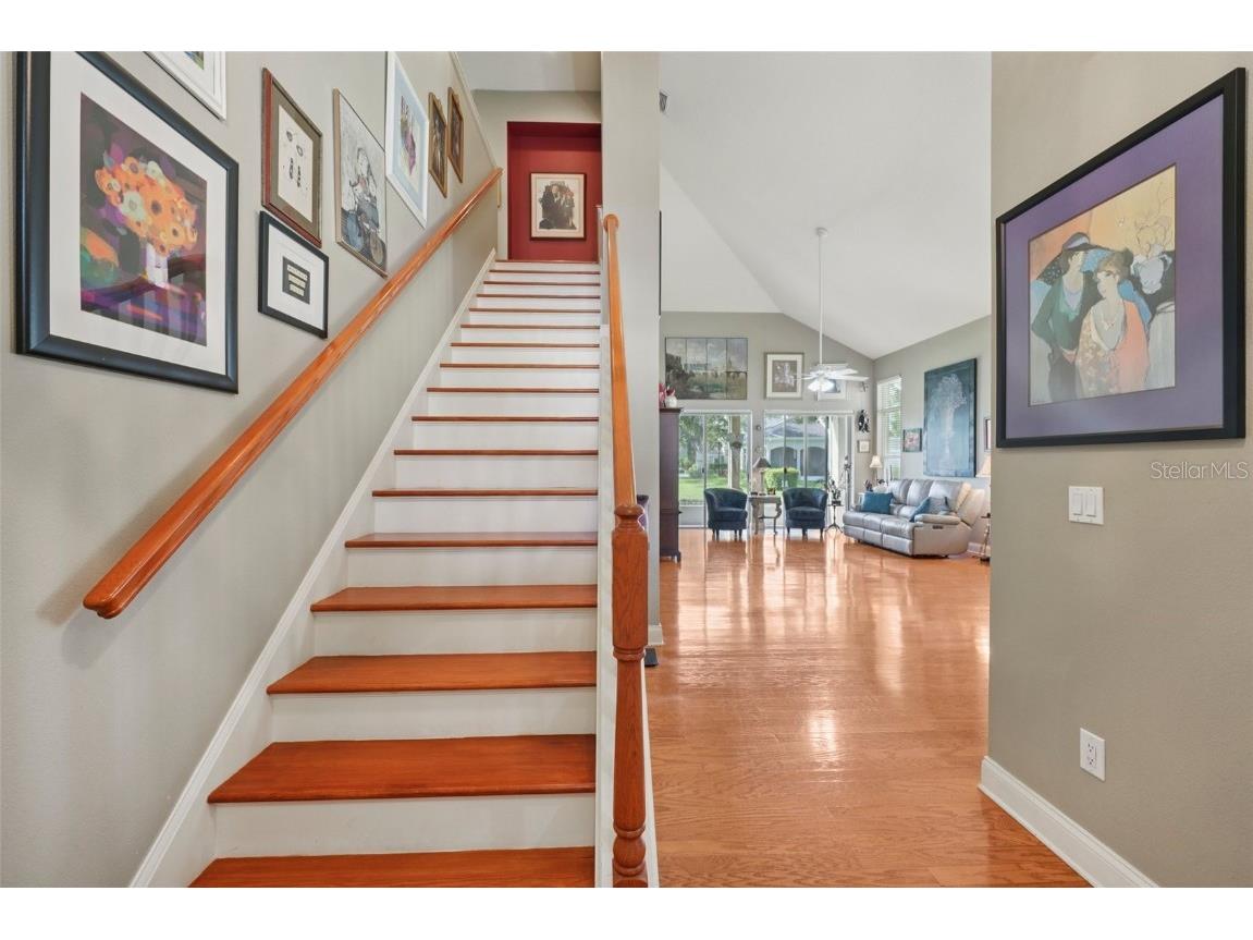 3416 Heards Ferry Drive Tampa FL 33618 TB8414643 image28