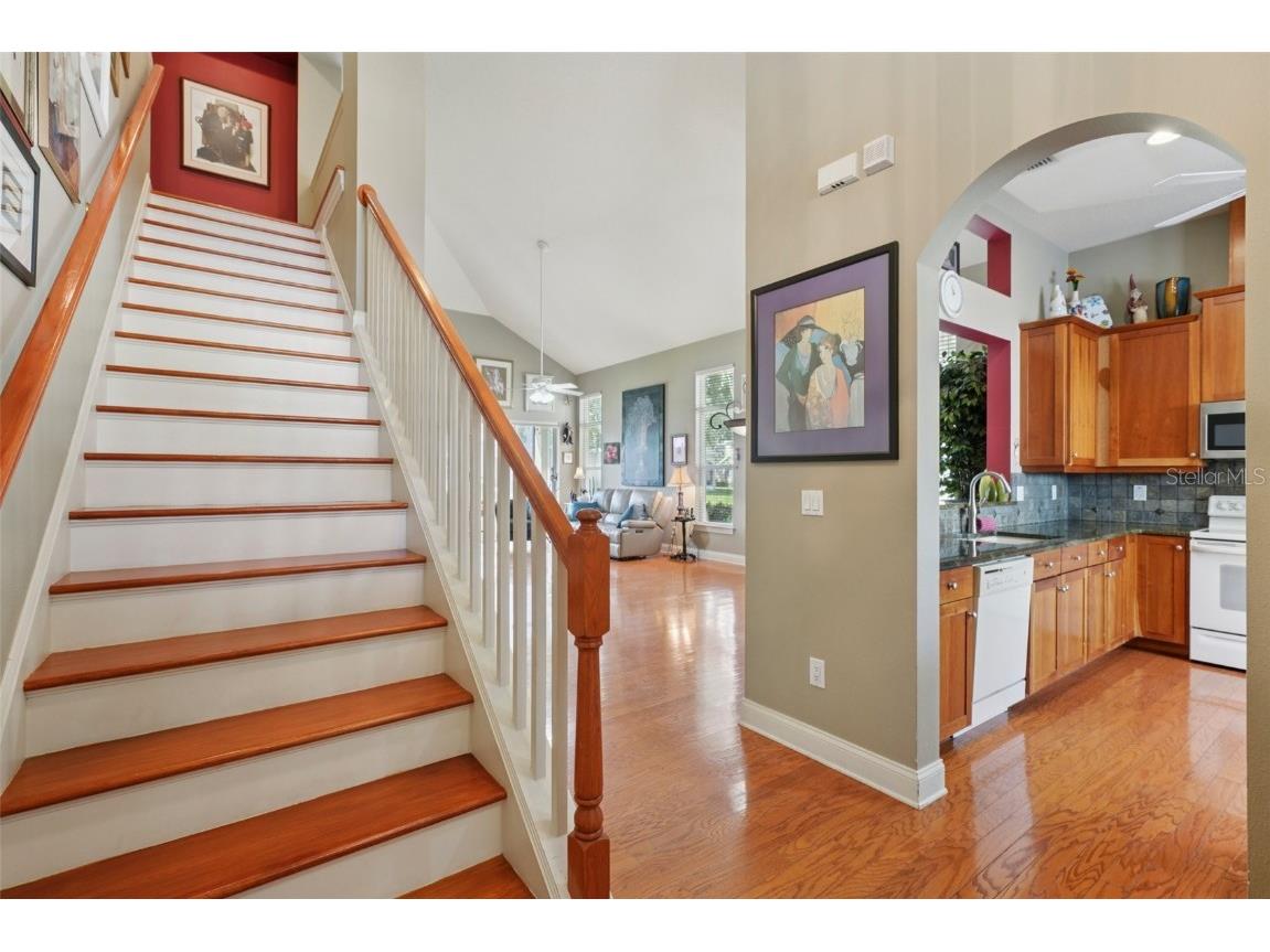 3416 Heards Ferry Drive Tampa FL 33618 TB8414643 image29