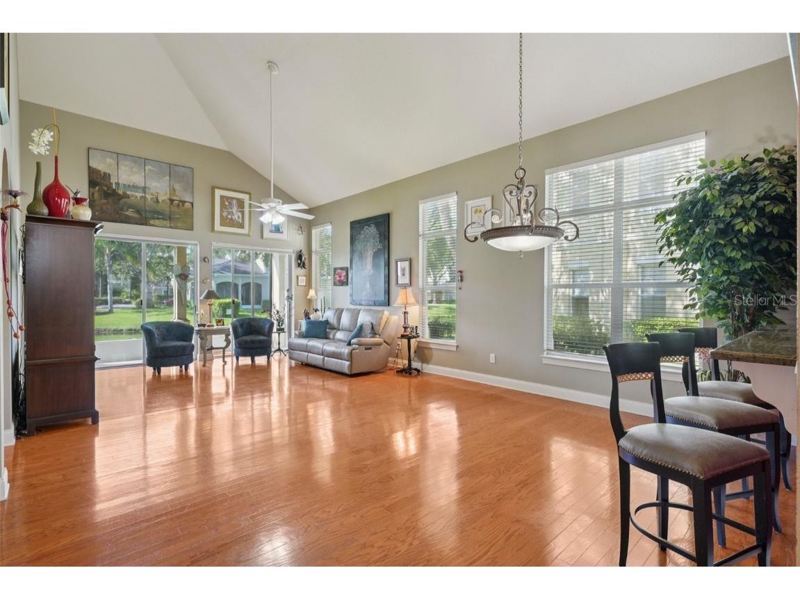 3416 Heards Ferry Drive Tampa FL 33618 TB8414643 image3