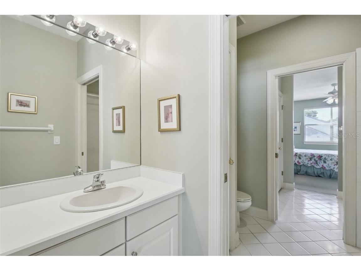 3416 Heards Ferry Drive Tampa FL 33618 TB8414643 image38